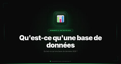 Qu'est-ce qu'une base de données B2B ?