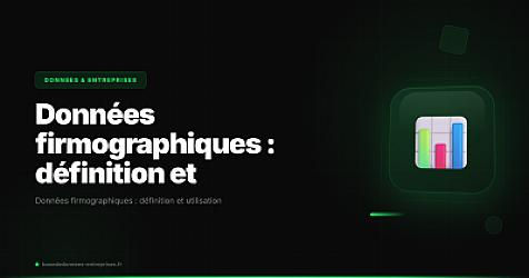 Données firmographiques : définition et utilisation